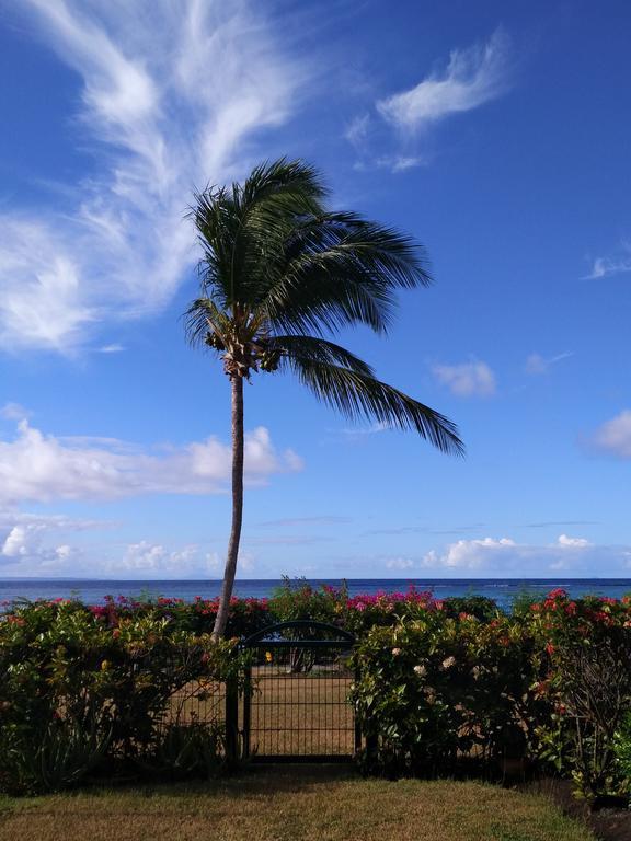 Savannah Guadeloupe Saint-Francois (Grande-Terre) Exterior foto